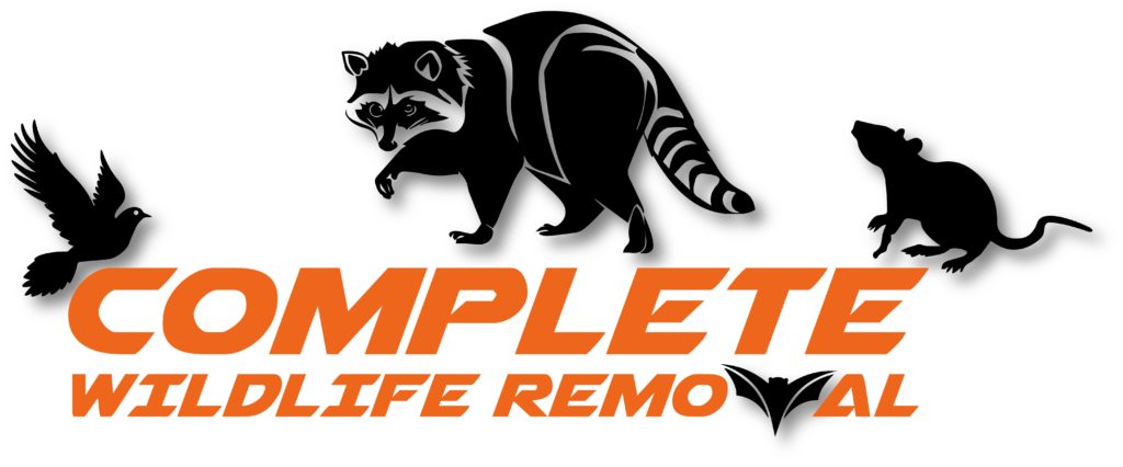 Complete Wildlife Removal – Most Effective Wildlife Removal Services In ...